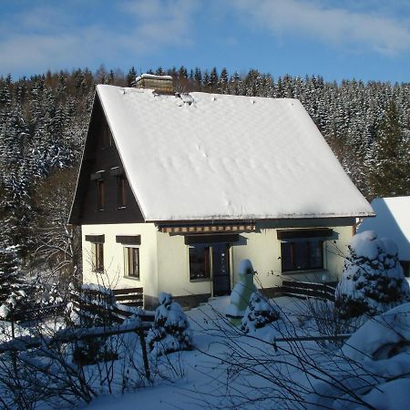 Erzgebirgsdomizil Am Schwartenberg Neuhausen  Extérieur photo