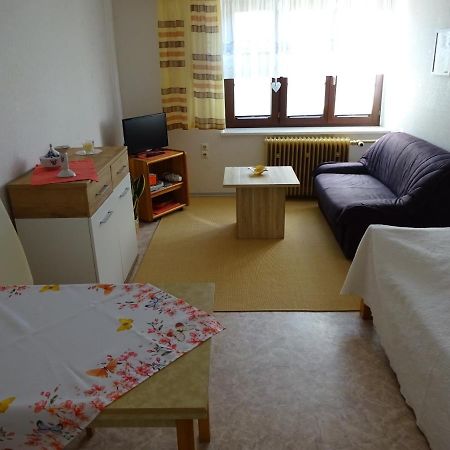 Erzgebirgsdomizil Am Schwartenberg Neuhausen  Extérieur photo