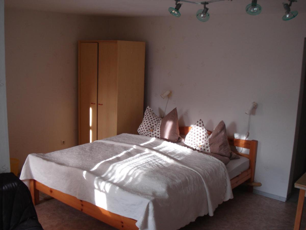 Erzgebirgsdomizil Am Schwartenberg Neuhausen  Extérieur photo