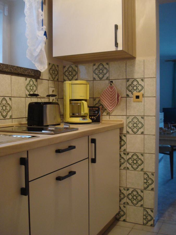 Erzgebirgsdomizil Am Schwartenberg Neuhausen  Extérieur photo